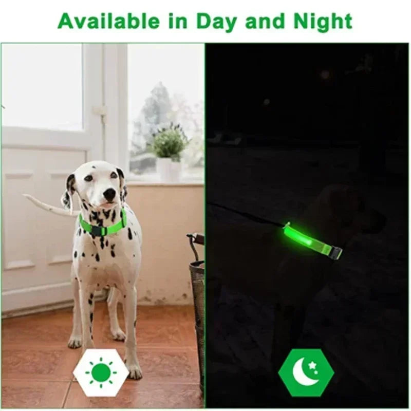 LUXPETS GlowSafe LED Dog Collar | Illuminated & Rechargeable | Adjustable & Waterproof | Anti-Loss at Night