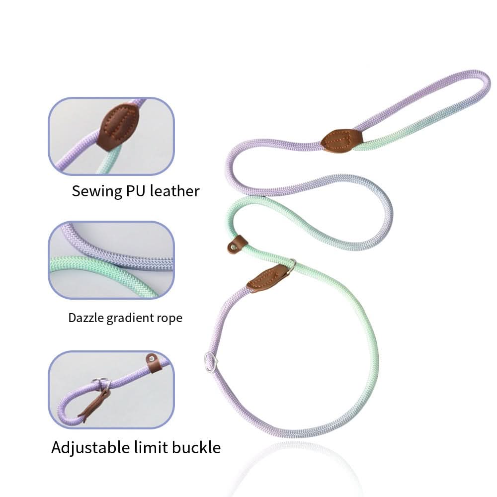 Colorful Dog Leash for Stylish Walks