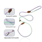 Colorful Dog Leash for Stylish Walks