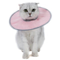 Cat protection collar soft & comfortable