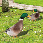 DuoDuck Realistic Double-Sided Gray Feather Sculpture