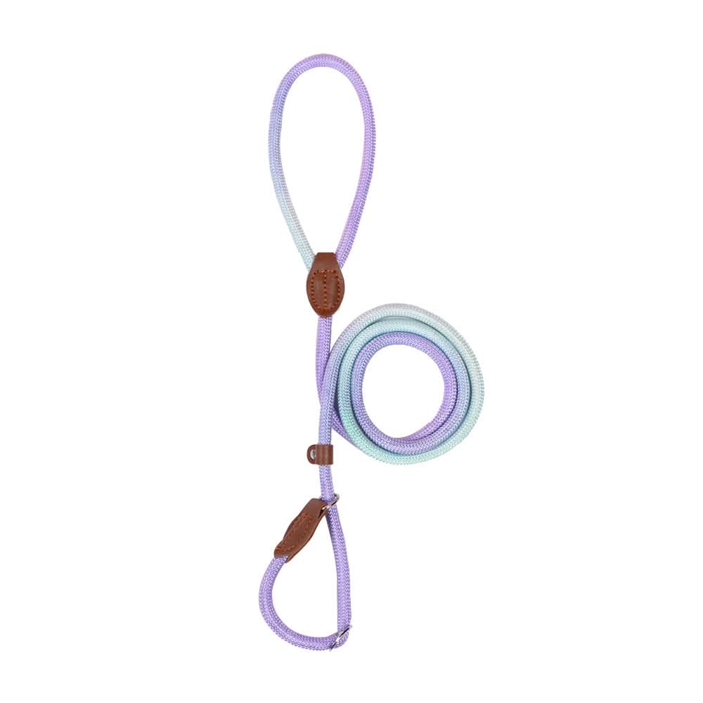 Colorful Dog Leash for Stylish Walks