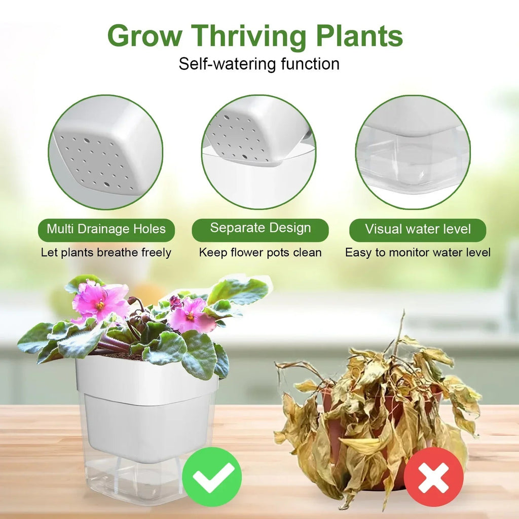 HydroLino Flower Pot | Self-Watering | Compact & Transparent | For Indoor Use