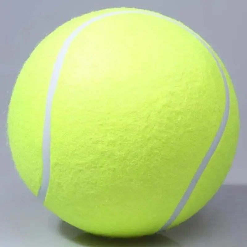 Extra large tennis ball for dogs