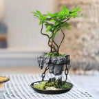 Sky Garden Floating Indoor Air Planter