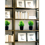 Leafora Artificial Eucalyptus Plant in Black Pot | Mini Decorative Plant | For Table, Bathroom & Office