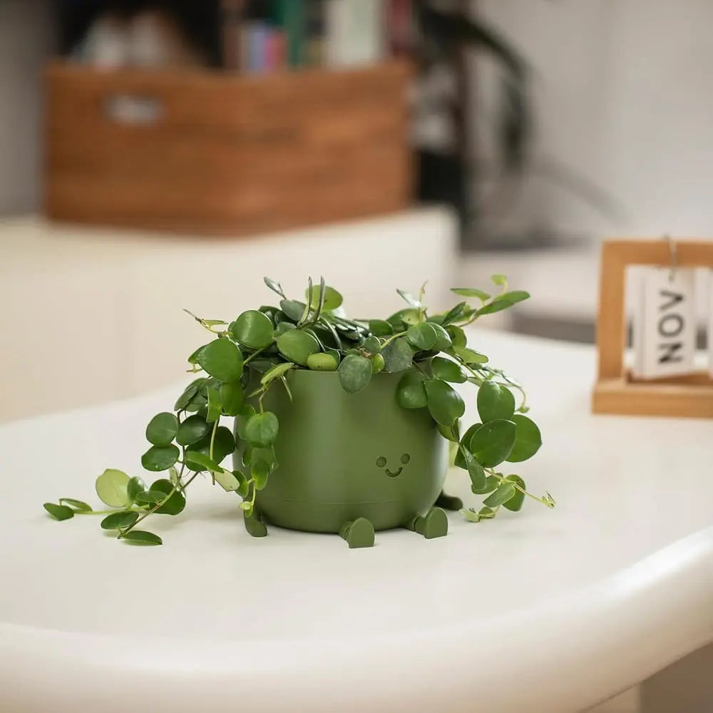 Self-watering Flower Pot – Cute face with flexible legs!