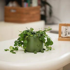Self-watering Flower Pot – Cute face with flexible legs!