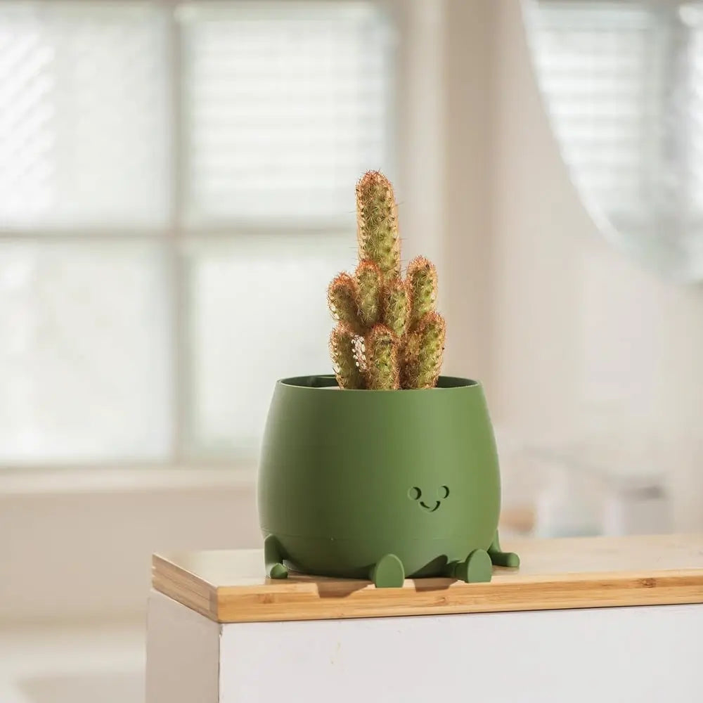 Self-watering Flower Pot – Cute face with flexible legs!