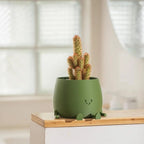 Self-watering Flower Pot – Cute face with flexible legs!