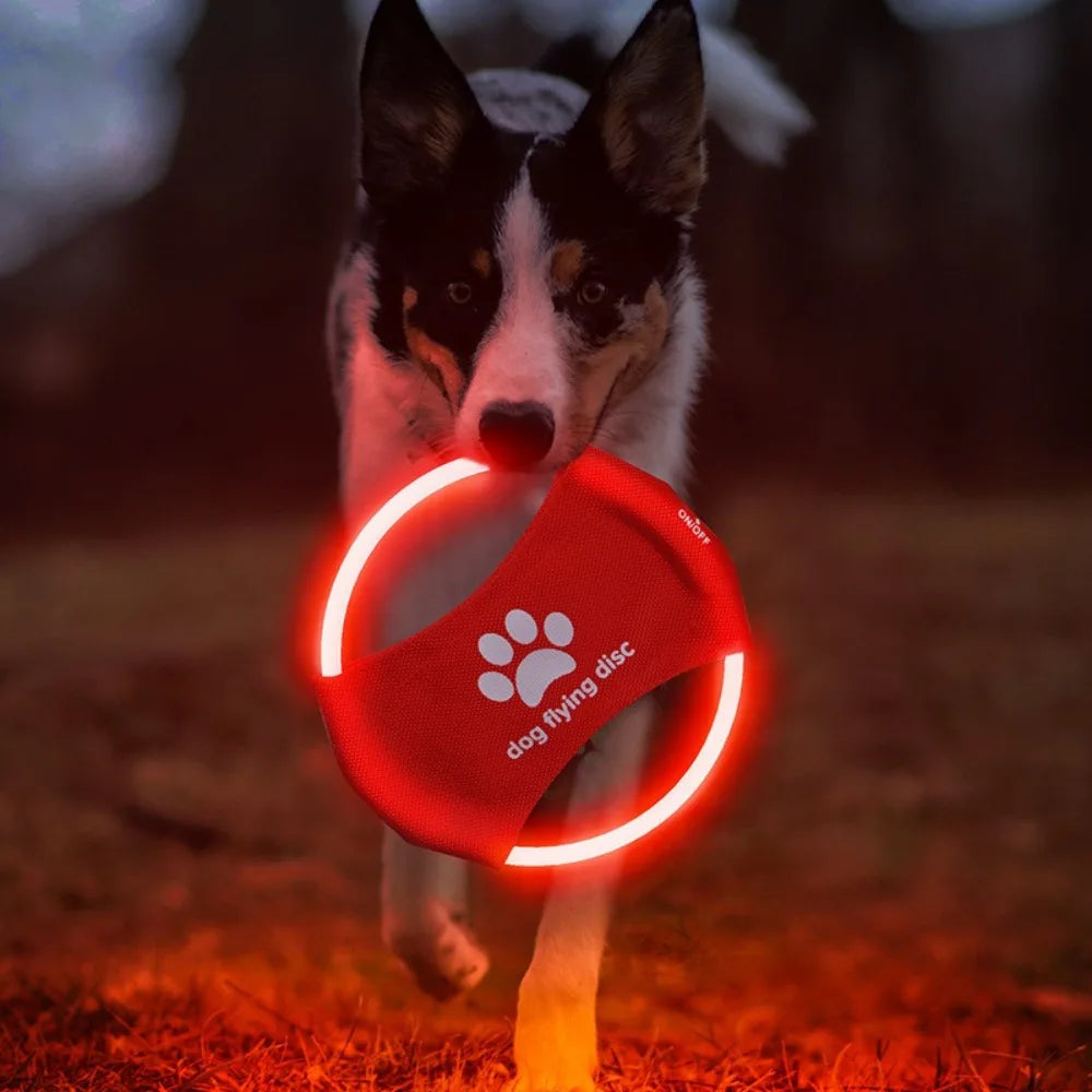 LED Frisbee for dogs rechargeable and waterproof