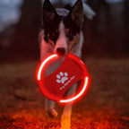 LED Frisbee for dogs rechargeable and waterproof