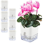 Plant Pot BloomEase | Self-Watering & Space-Saving | With Water Level Indicator | For Indoor Plants & Herbs