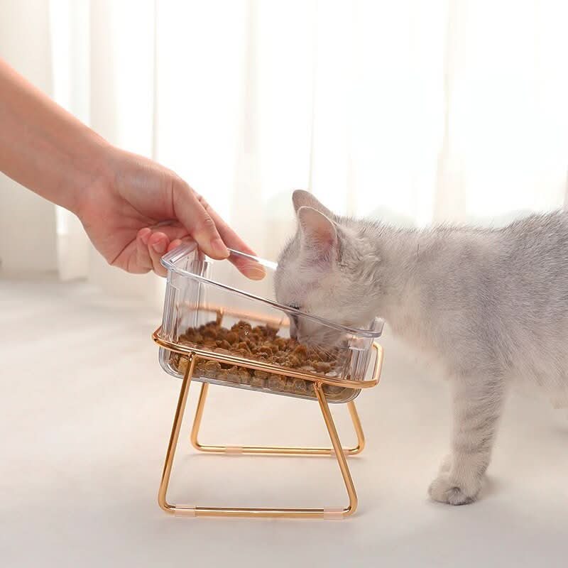 Elevated feeding bowl for healthy eating posture in cats & small dogs