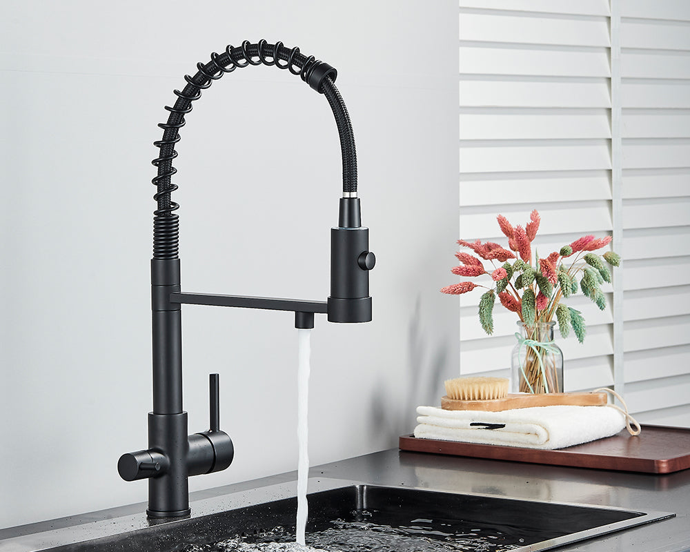 Sandsberg Black Filter Kitchen Faucet with Dual Outlet – Mixing Tap with Water Filter for Kitchens, Water Treatment and Cleaning