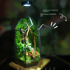Modern Geometric Nature-Inspired Botanical Terrarium