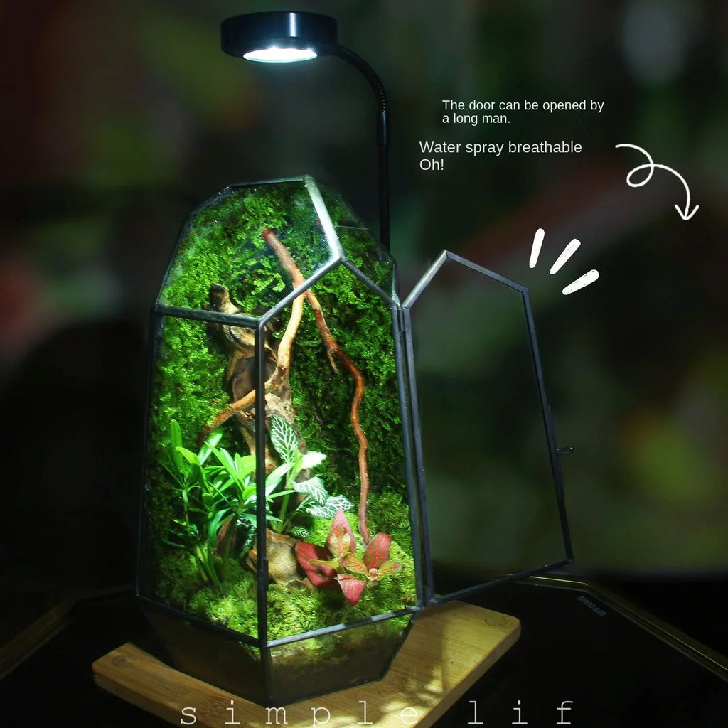 Modern Geometric Nature-Inspired Botanical Terrarium