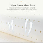 Ultra Cooler Latex Washable Comfortable Reading Backrest