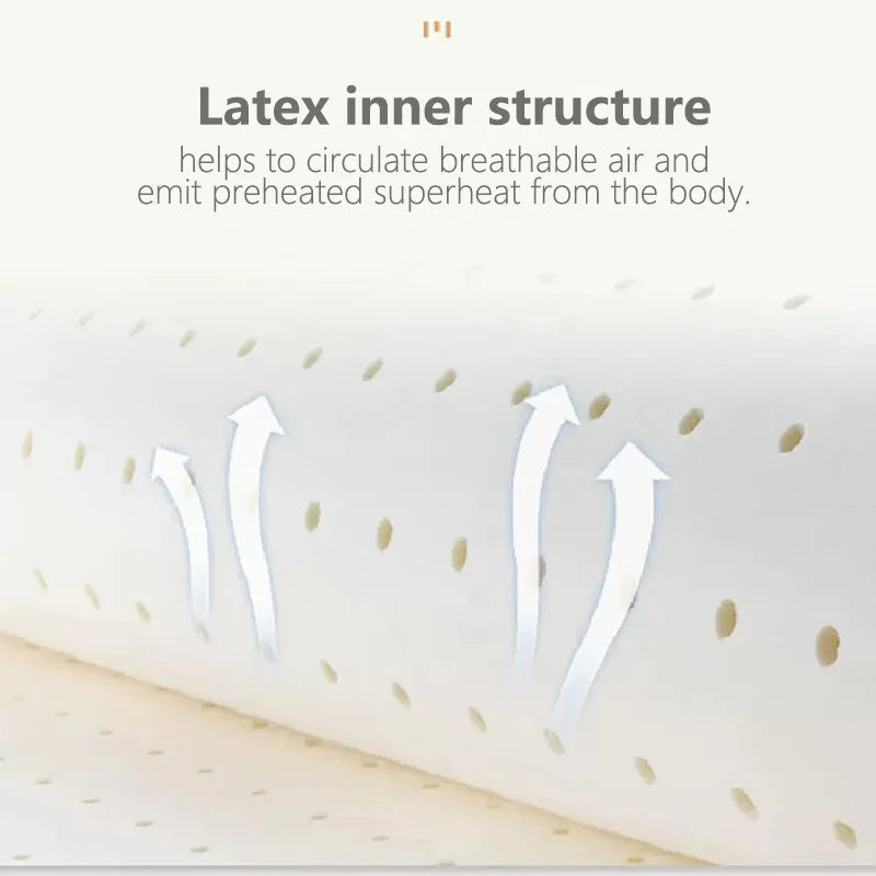 Ultra Cooler Latex Washable Comfortable Reading Backrest