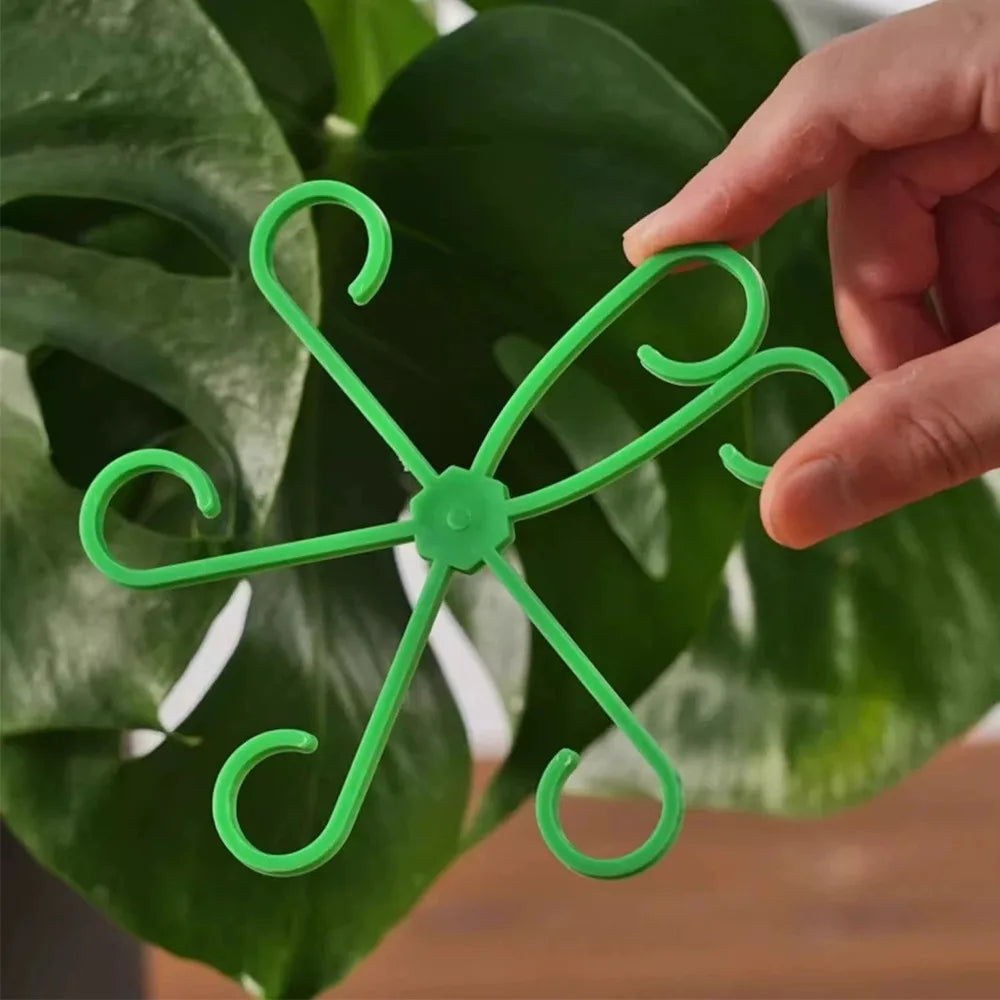 Plant Stem Support Frame