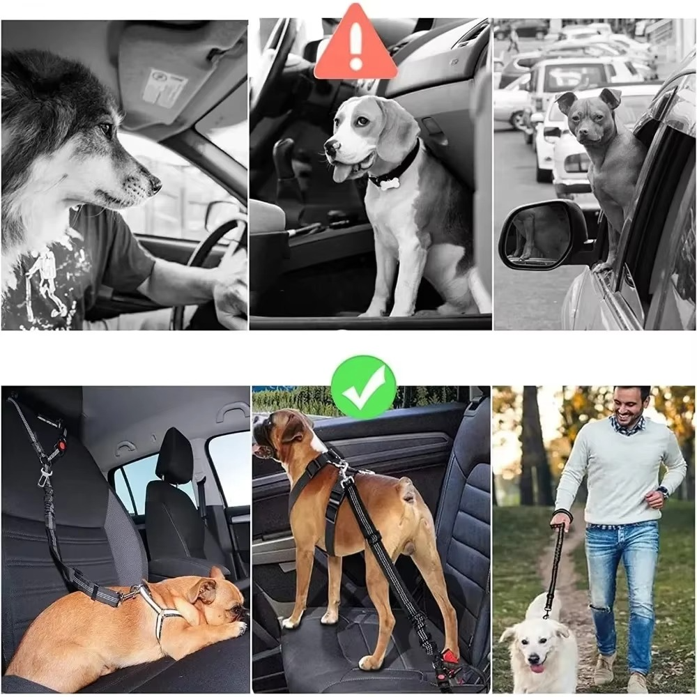 Adjustable Reflective 2-in-1 Dog Car Seatbelt Tether with Headrest Restraint