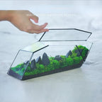 Geometric Glass Moss Planter Terrarium Vase