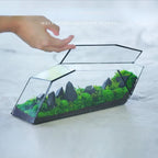 Geometric Glass Moss Planter Terrarium Vase