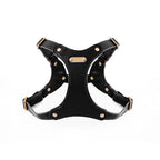 Adjustable Leather Dog Harness with Custom Engraving