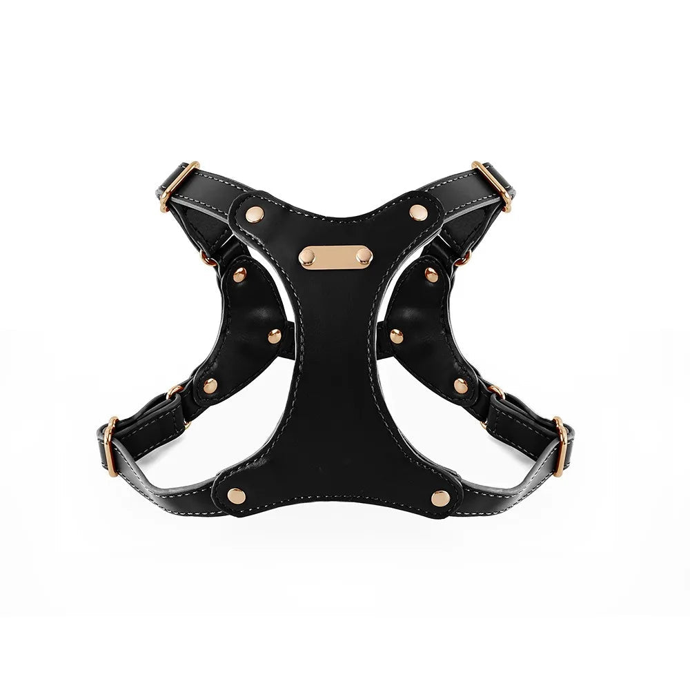 Adjustable Leather Dog Harness with Custom Engraving