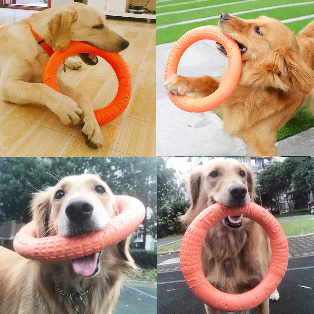 Floating EVA Training Ring for Dogs