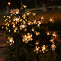 Sakura Tree Solar Flower Pathway Outdoor Lights