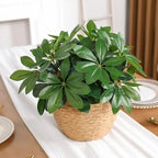 Artificial Plant EverLeaf 33 | 33 cm | With Stem & Leaves | Low-Maintenance Decor for Home & Office