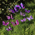 FloraViva Butterfly Garden Stakes | Set of 10 | Weatherproof & Colorful | For Beds, Flower Pots & Balcony