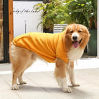 Paws Fleece Hoodie