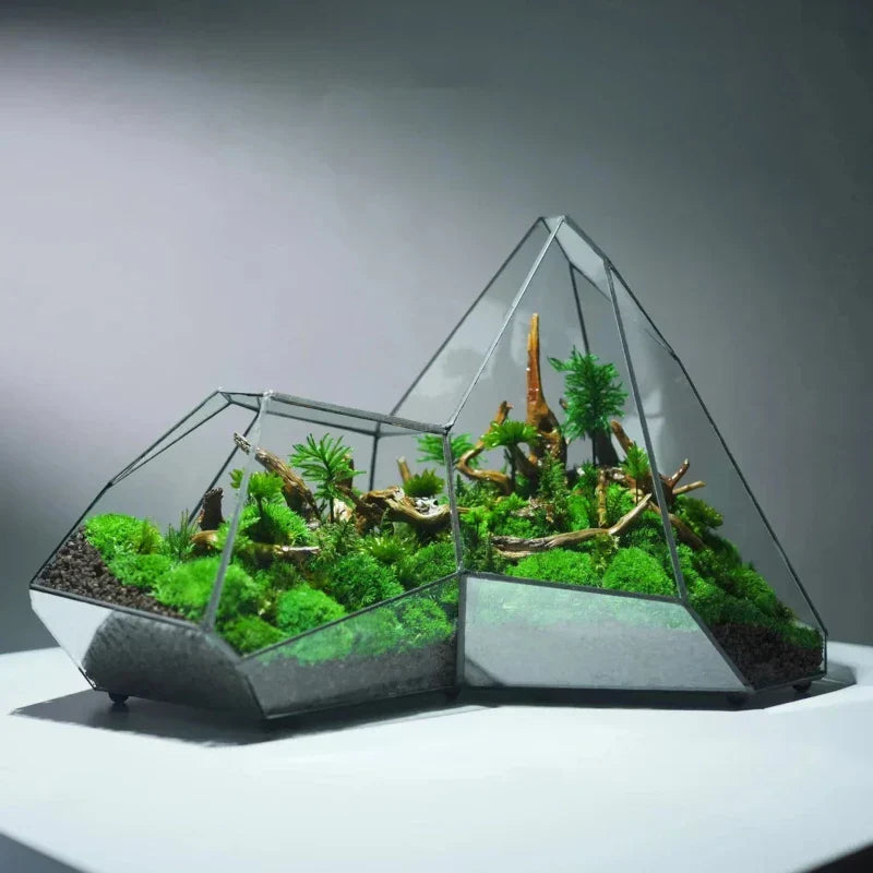 Geometric Glass Moss Planter Terrarium Vase