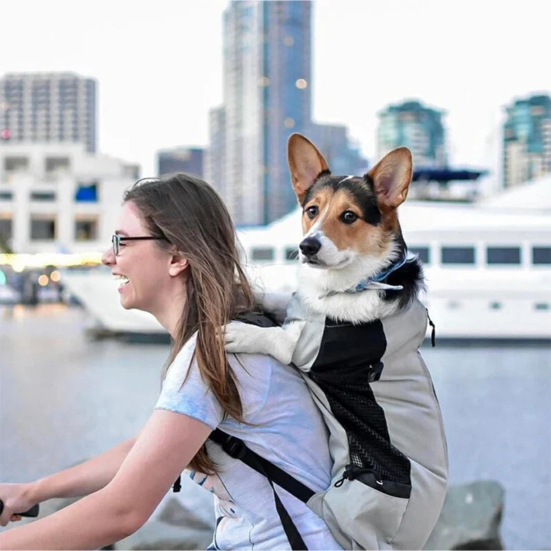 Dog backpack for outdoor & travel breathable