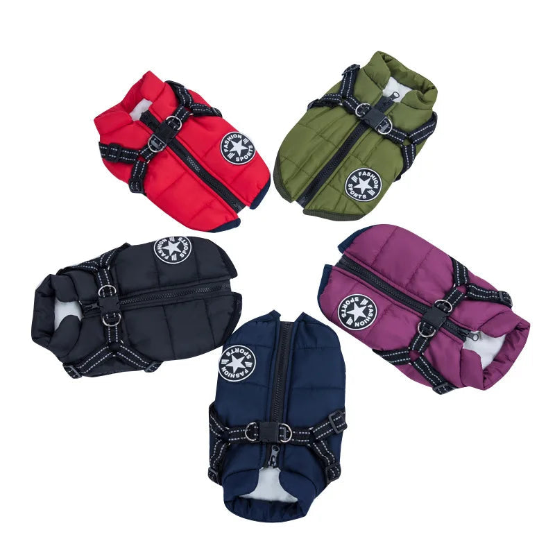 Frost protection for your pet