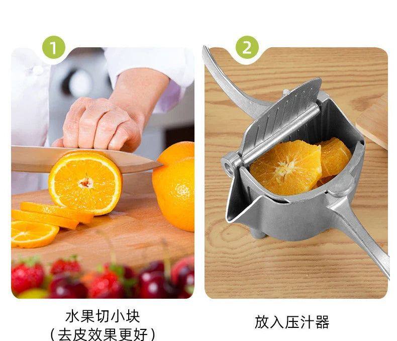 Fruit Juice Squeezer