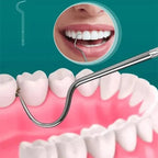 Stainless Steel Reusable Toothpick Set