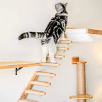Cat climbing ladder for wall mounting made of wood with sisal