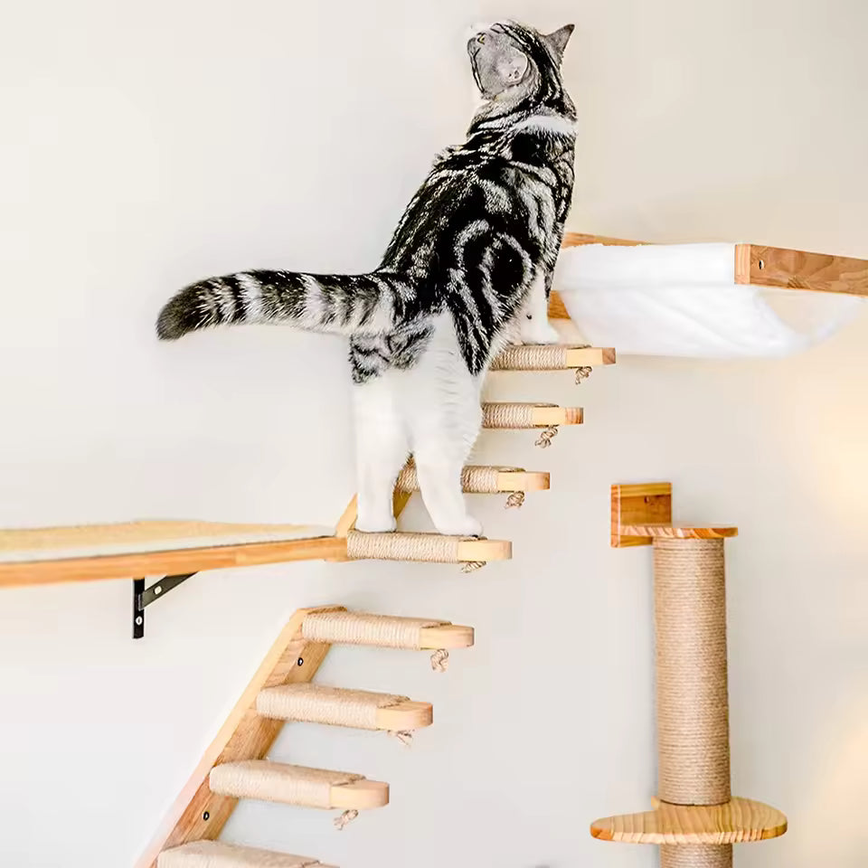 Cat climbing ladder for wall mounting made of wood with sisal