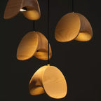 Pendant Lamp with a Simple, Elegant Look