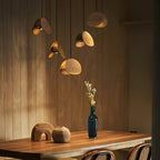 Pendant Lamp with a Simple, Elegant Look