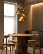 Pendant Lamp with a Simple, Elegant Look