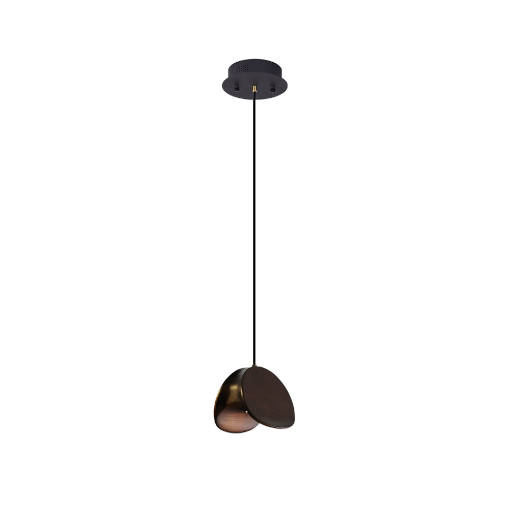 Pendant Lamp with a Simple, Elegant Look