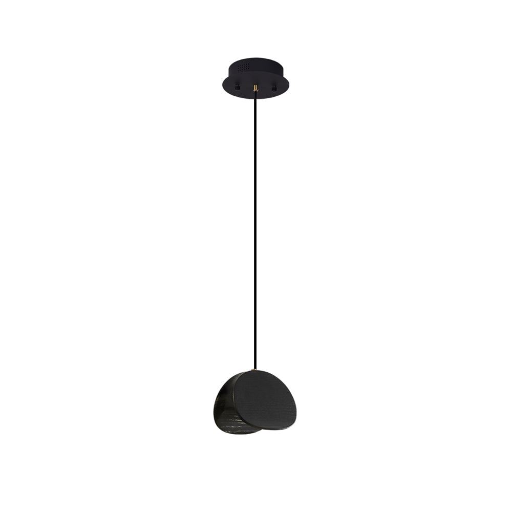 Pendant Lamp with a Simple, Elegant Look