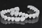 Customizable Dental Prosthesis with Dental Lenses