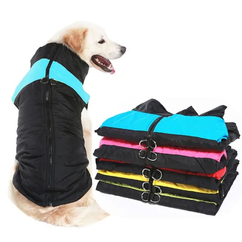 Winter jacket for dogs with protection & comfort