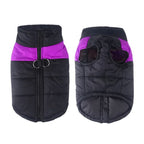 Winter jacket for dogs with protection & comfort