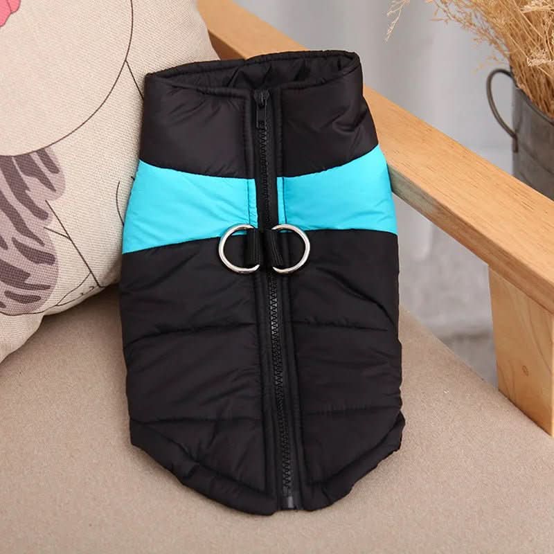 Winter jacket for dogs with protection & comfort